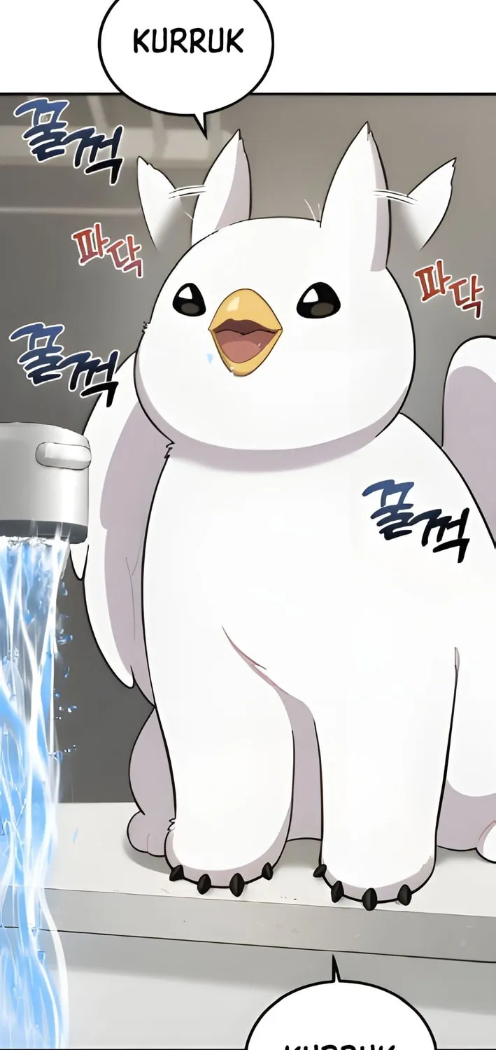 Hello, Griffin the Squinty-Eyed! Chapter 2 page 66 - 
