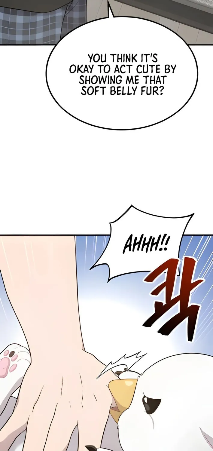 Hello, Griffin the Squinty-Eyed! Chapter 2 page 81 - 