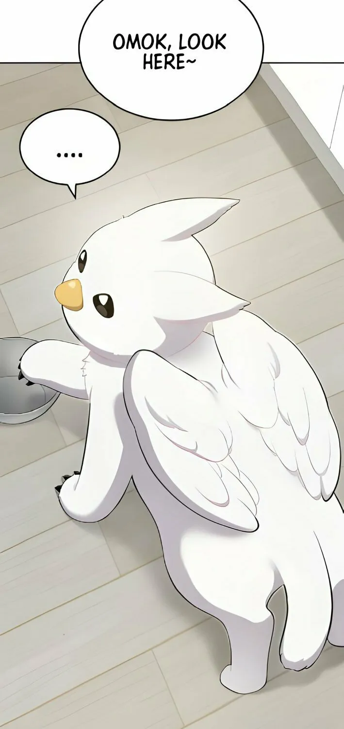 Hello, Griffin the Squinty-Eyed! Chapter 3 page 2 - 