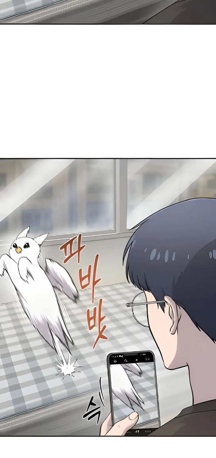 Hello, Griffin the Squinty-Eyed! Chapter 3 page 12 - 