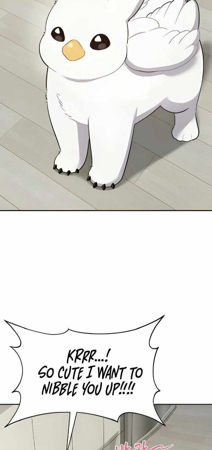 Hello, Griffin the Squinty-Eyed! Chapter 3 page 29 - 