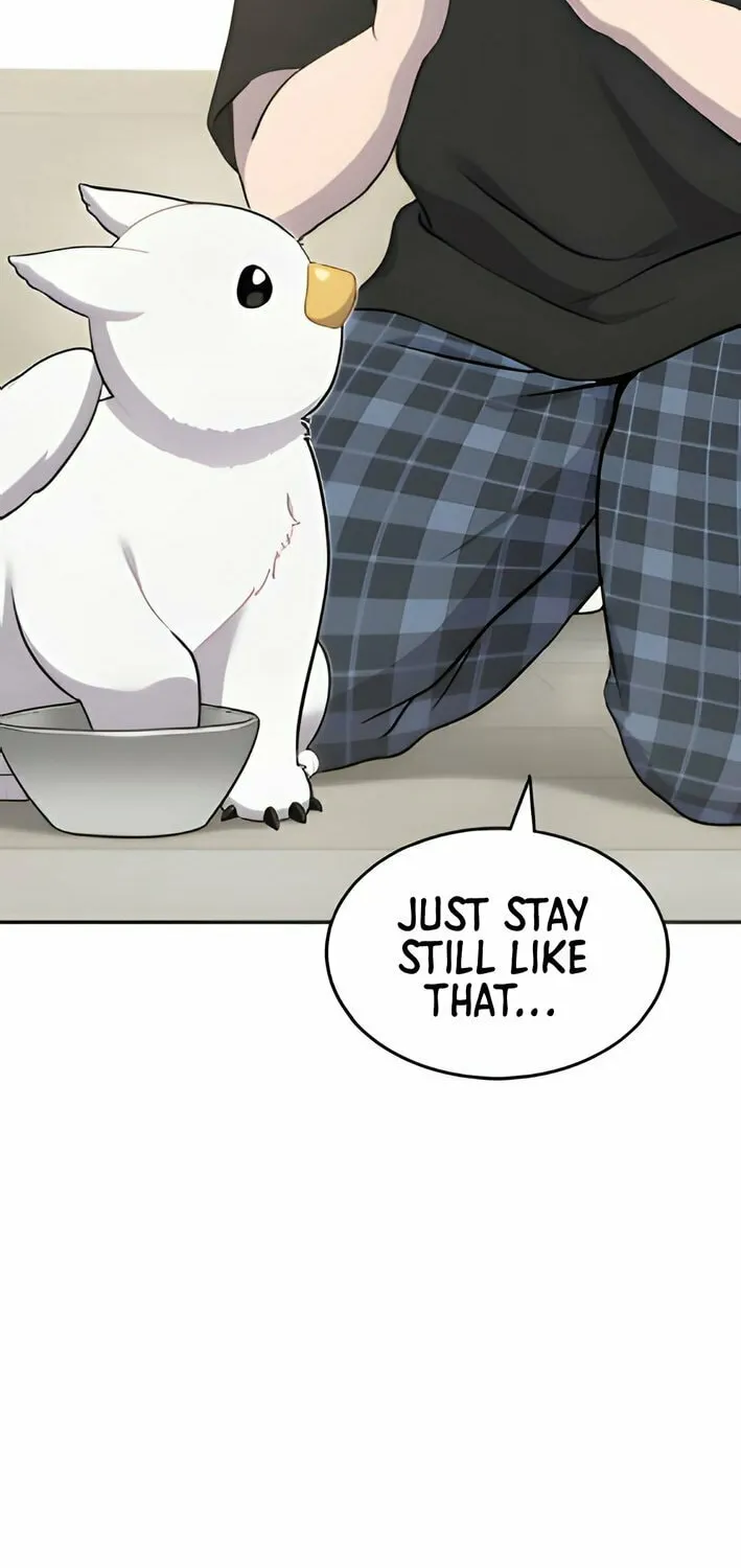 Hello, Griffin the Squinty-Eyed! Chapter 3 page 4 - 