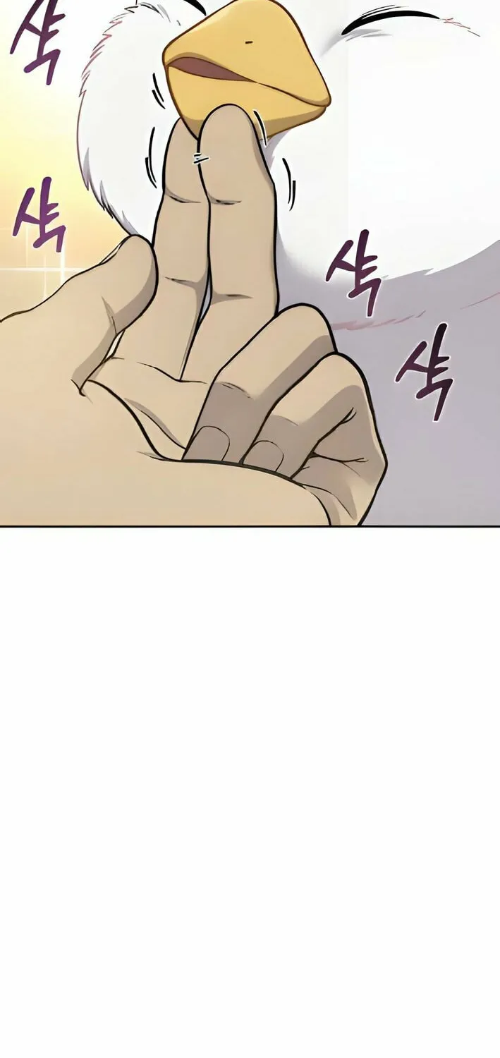 Hello, Griffin the Squinty-Eyed! Chapter 3 page 37 - 