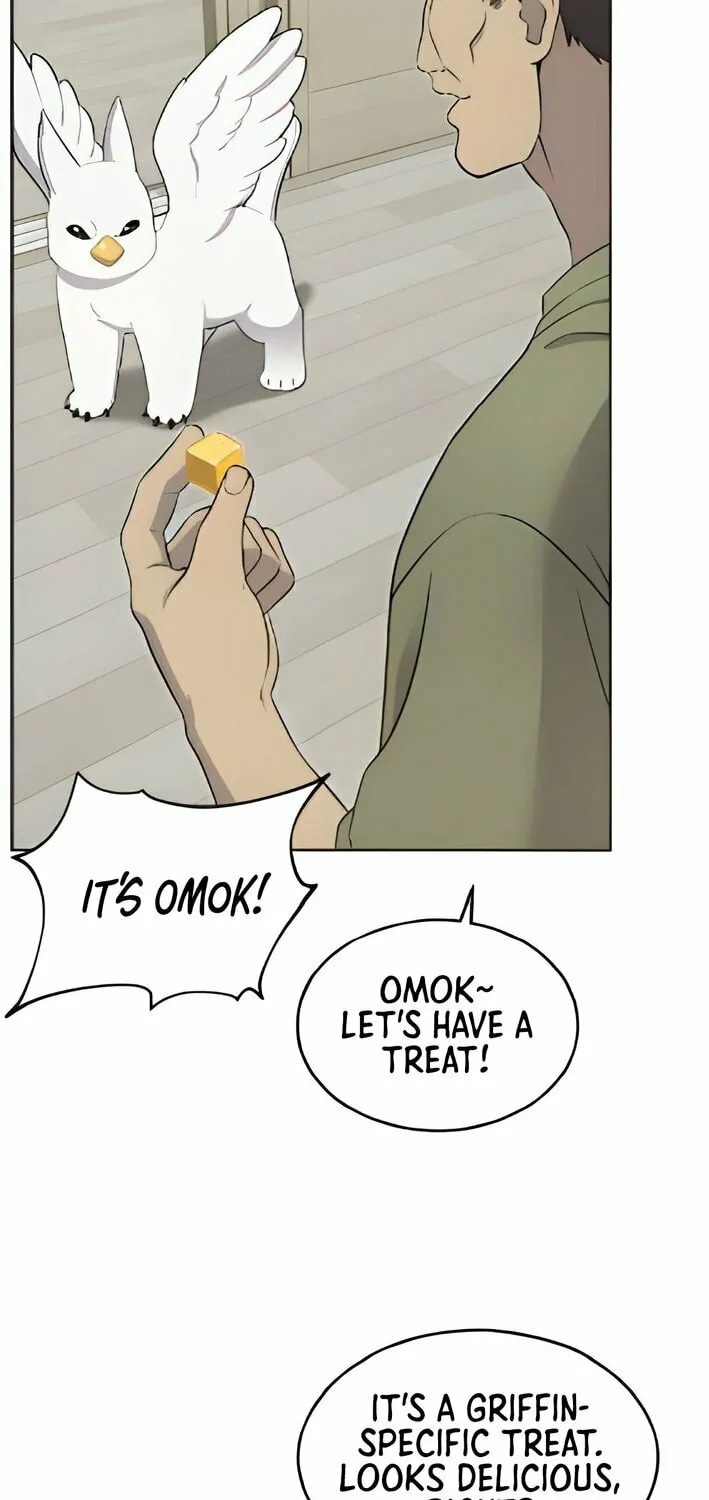 Hello, Griffin the Squinty-Eyed! Chapter 3 page 43 - 