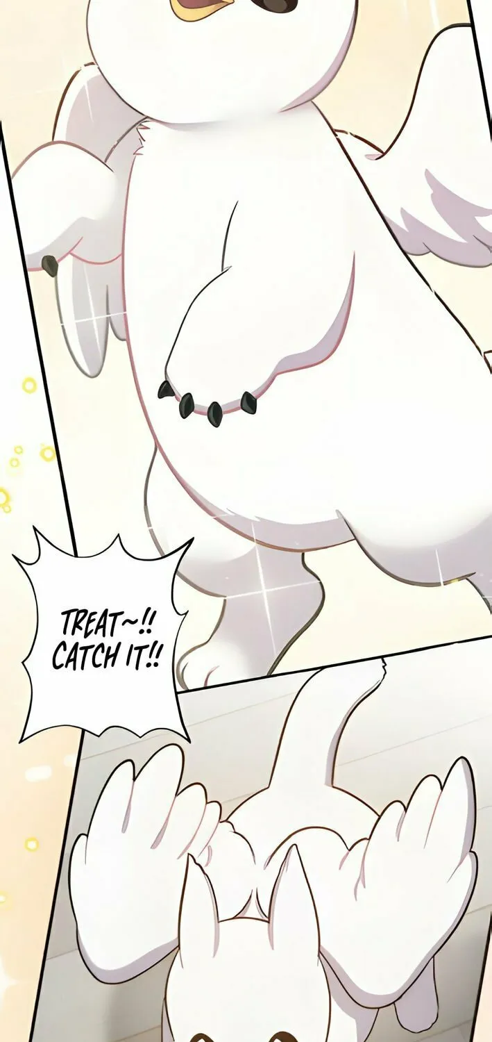 Hello, Griffin the Squinty-Eyed! Chapter 3 page 47 - 