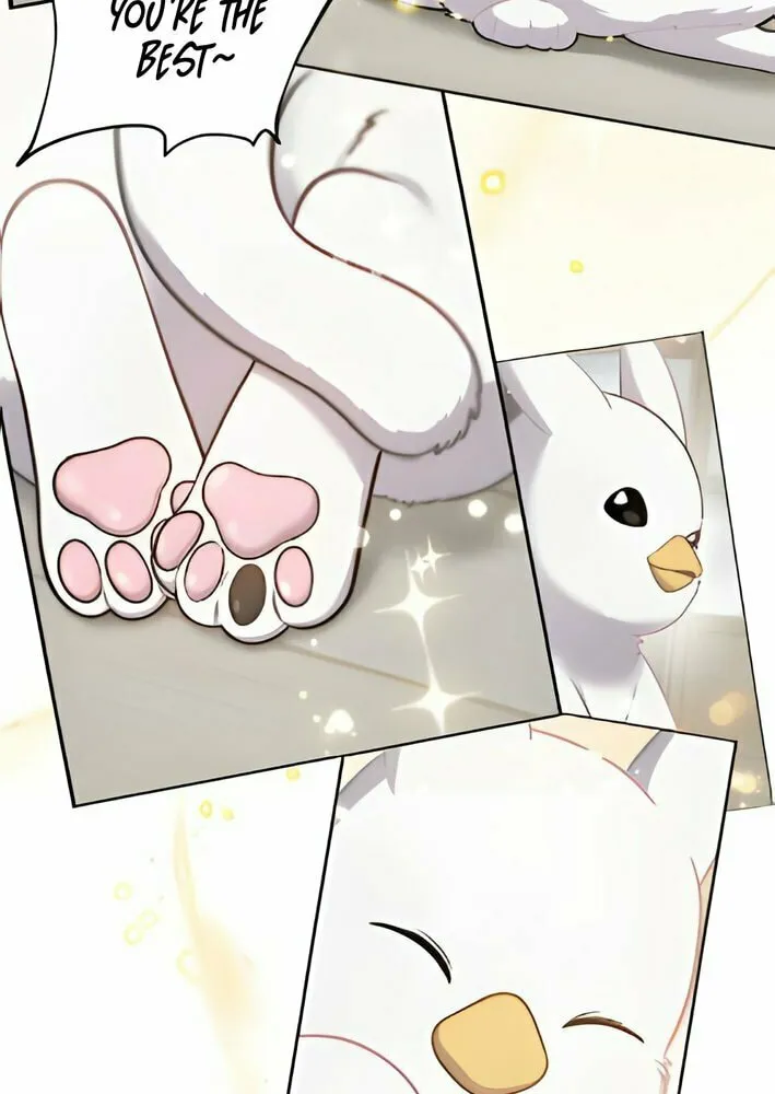 Hello, Griffin the Squinty-Eyed! Chapter 3 page 49 - 