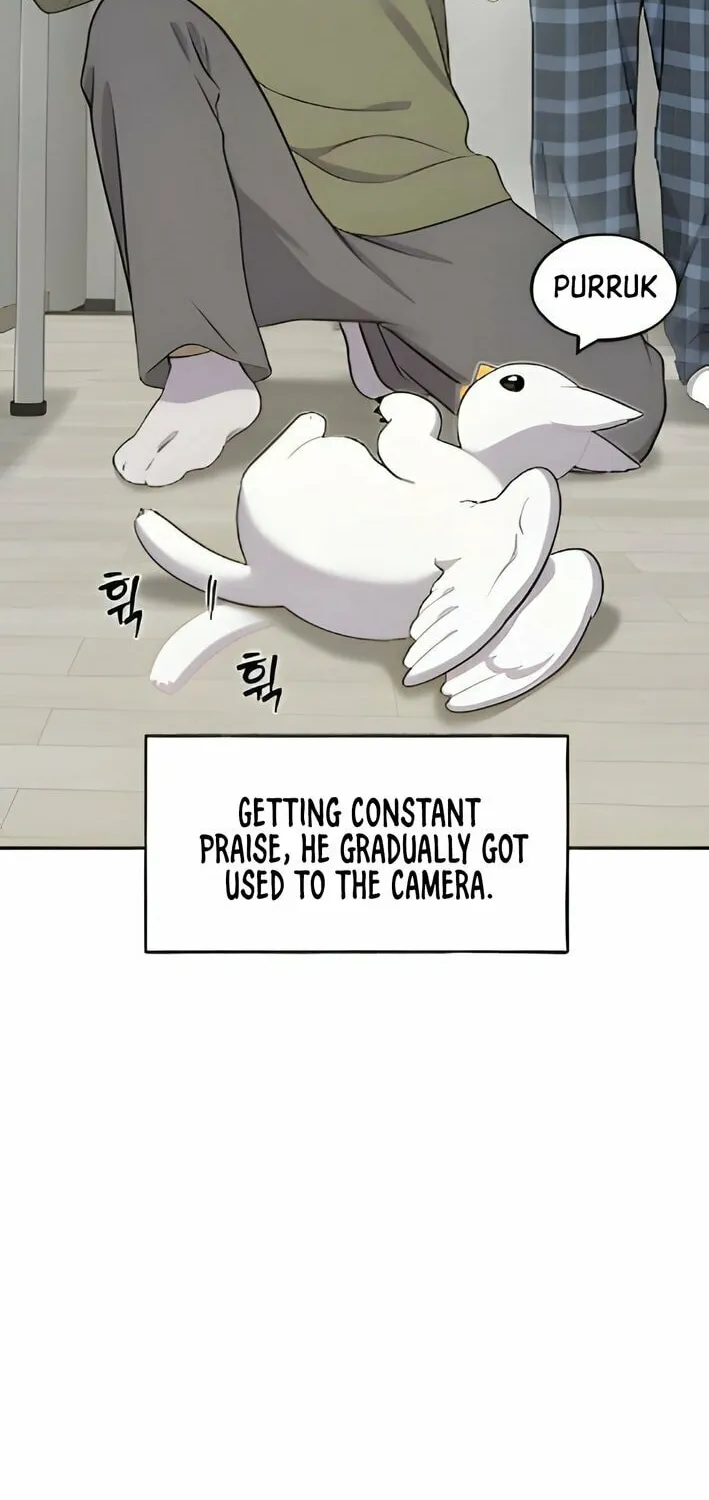 Hello, Griffin the Squinty-Eyed! Chapter 3 page 51 - 