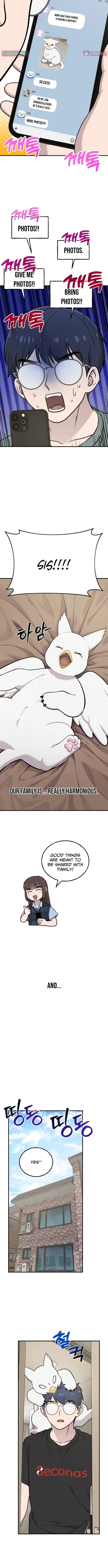 Hello, Griffin the Squinty-Eyed! Chapter 31 page 12 - 