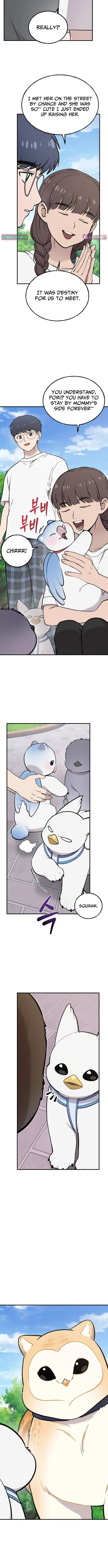 Hello, Griffin the Squinty-Eyed! Chapter 35 page 5 - 