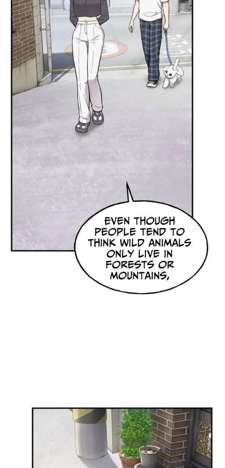 Hello, Griffin the Squinty-Eyed! Chapter 37 page 11 - 