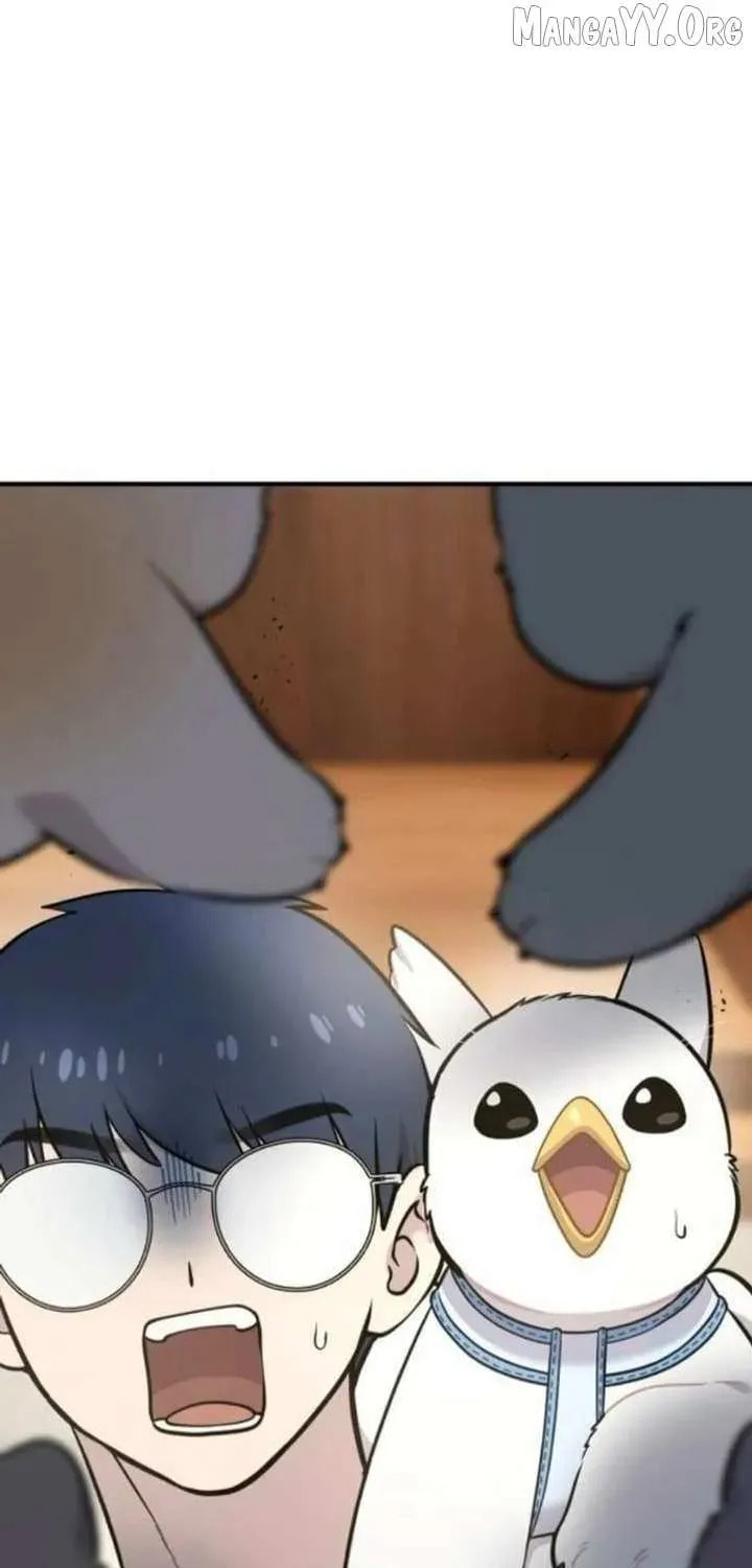Hello, Griffin the Squinty-Eyed! Chapter 38 page 5 - 