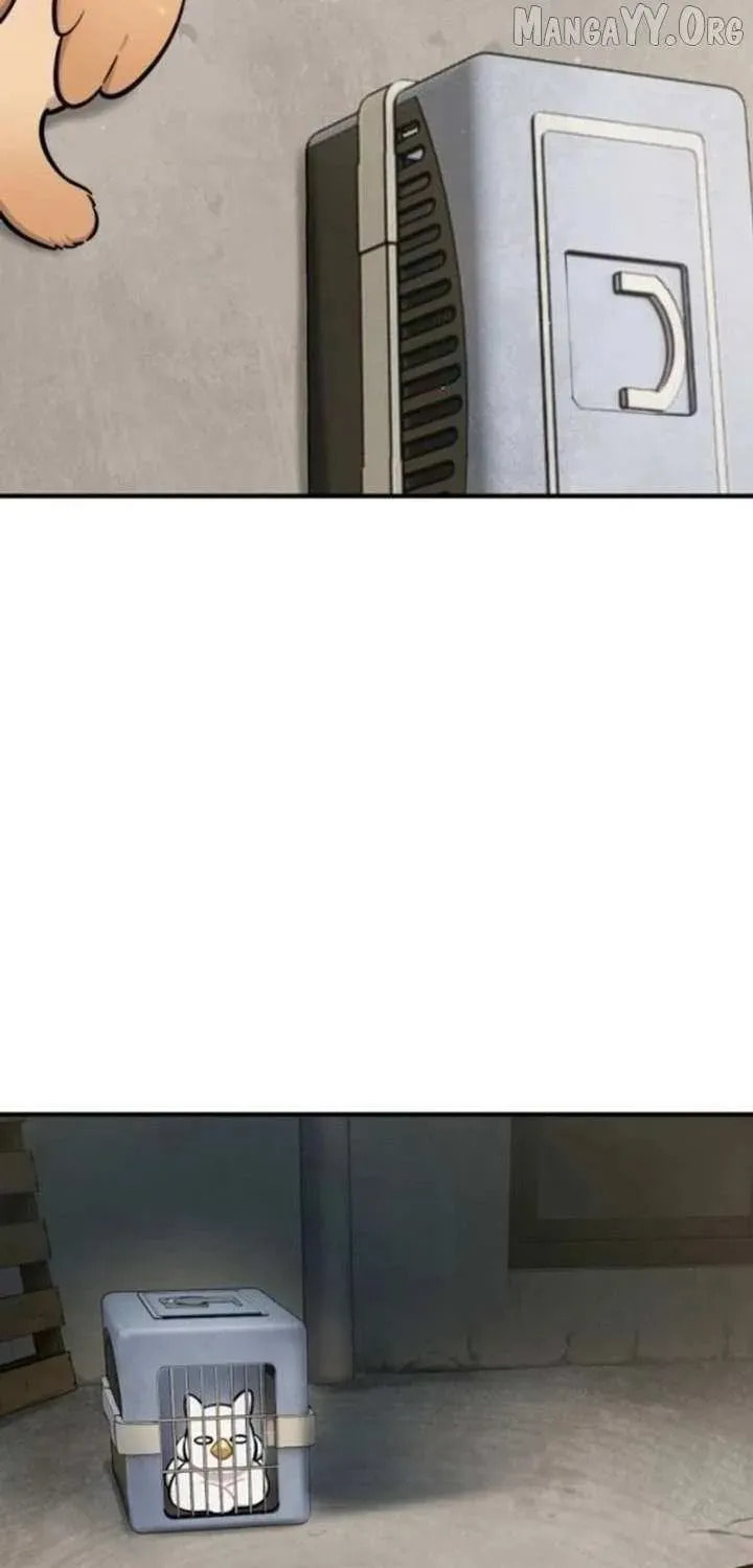 Hello, Griffin the Squinty-Eyed! Chapter 38 page 81 - 