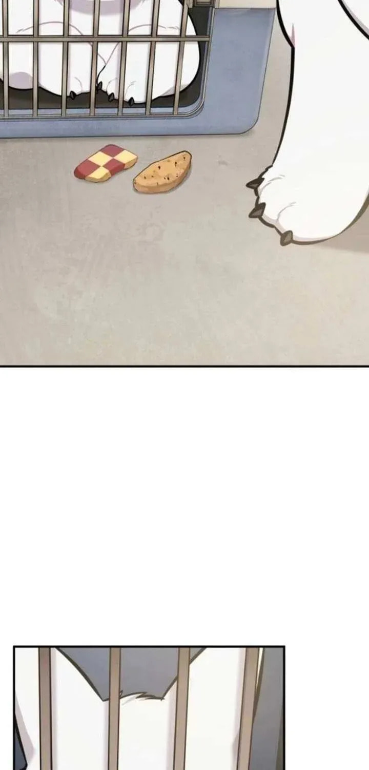 Hello, Griffin the Squinty-Eyed! Chapter 38 page 86 - 