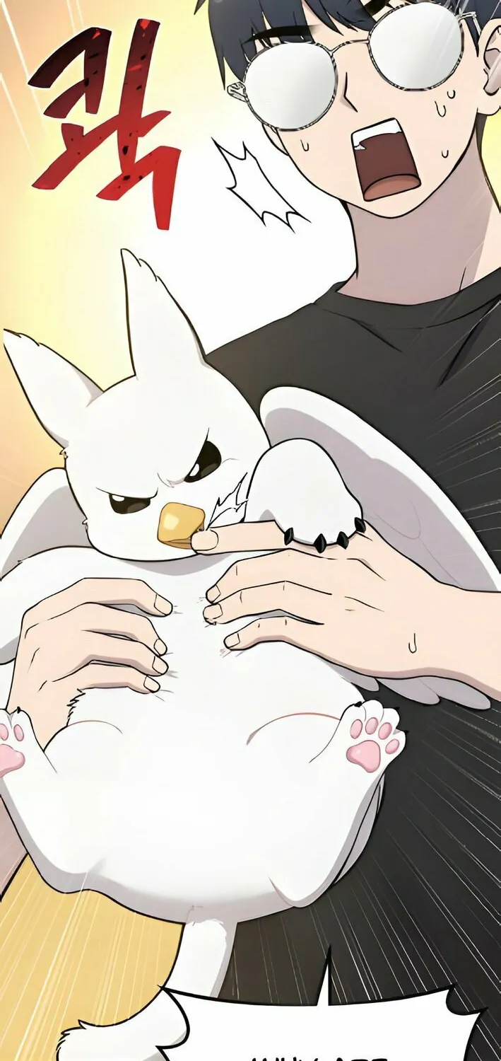Hello, Griffin the Squinty-Eyed! Chapter 4 page 18 - 