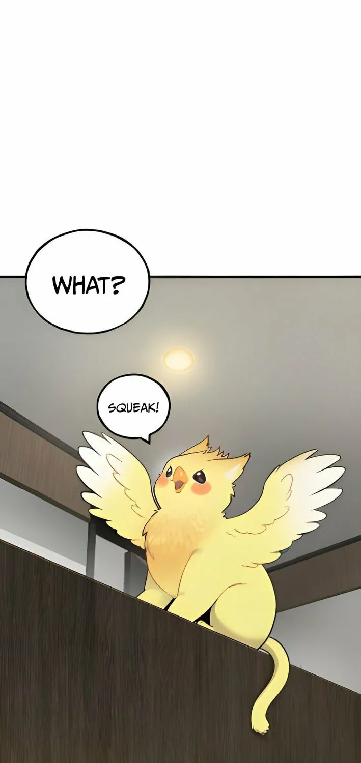 Hello, Griffin the Squinty-Eyed! Chapter 4 page 20 - 