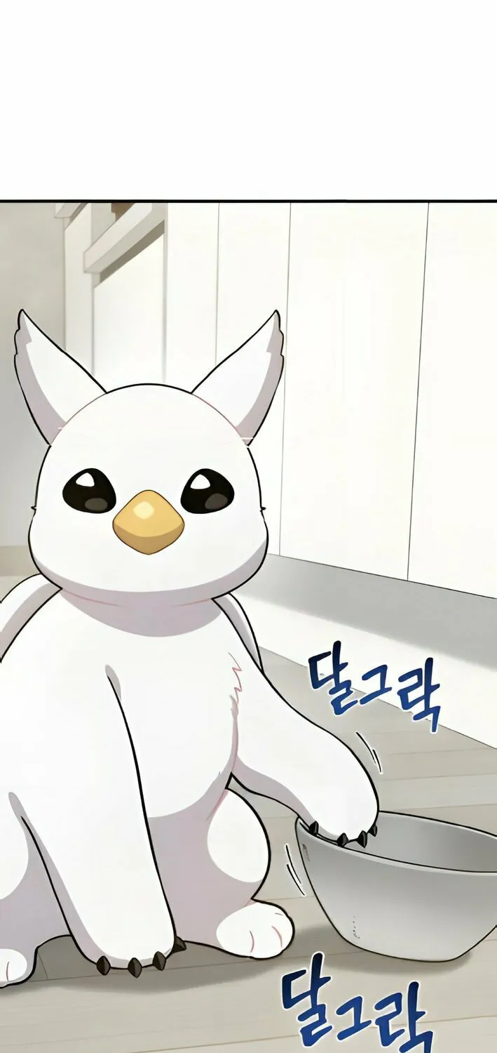Hello, Griffin the Squinty-Eyed! Chapter 4 page 65 - 