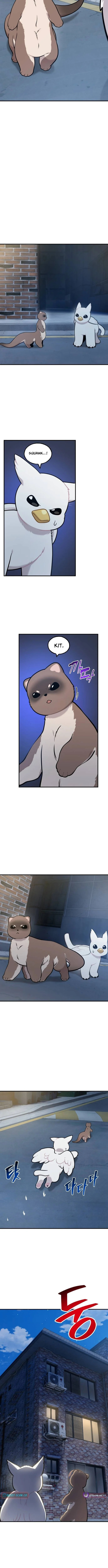 Hello, Griffin the Squinty-Eyed! Chapter 40 page 11 - 