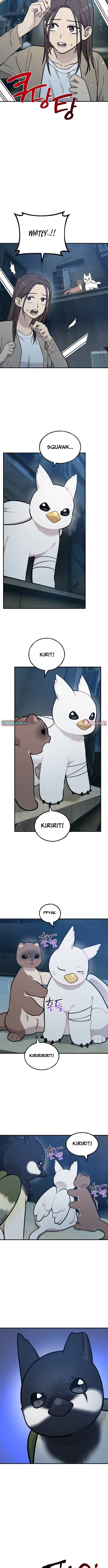 Hello, Griffin the Squinty-Eyed! Chapter 43 page 6 - 
