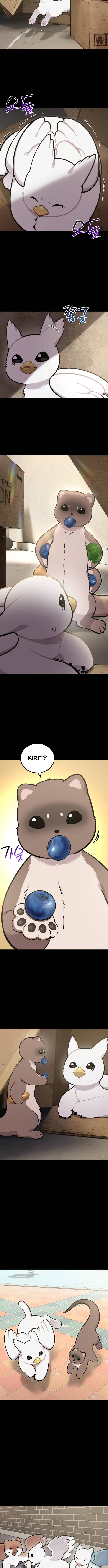 Hello, Griffin the Squinty-Eyed! Chapter 43 page 9 - 