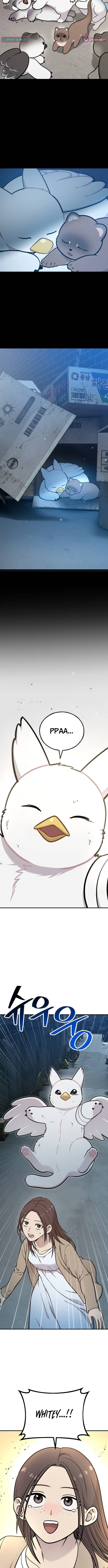 Hello, Griffin the Squinty-Eyed! Chapter 43 page 10 - 