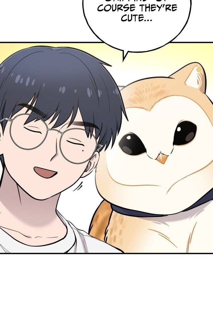 Hello, Griffin the Squinty-Eyed! Chapter 45 page 44 - 
