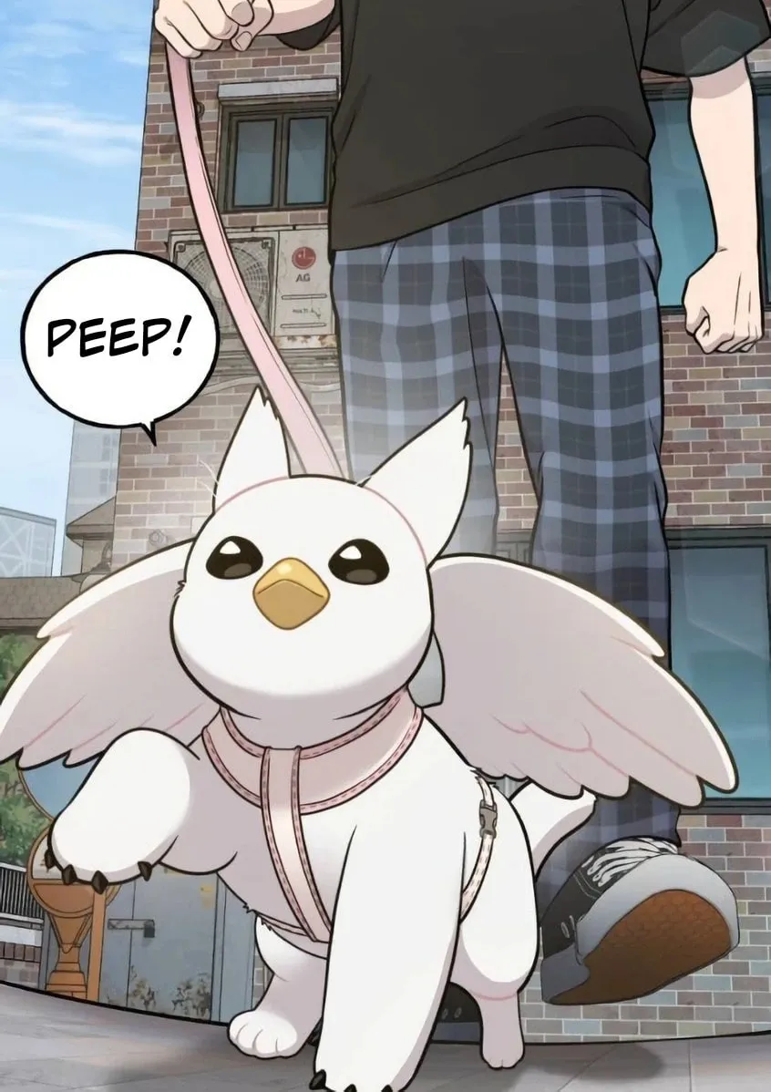Hello, Griffin the Squinty-Eyed! Chapter 6 page 25 - 