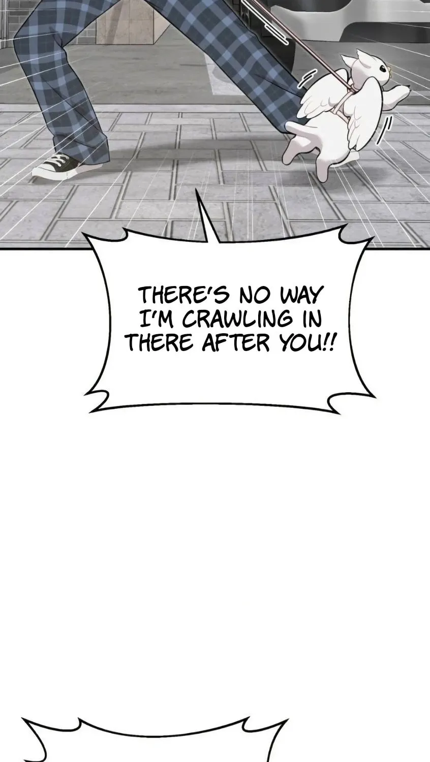 Hello, Griffin the Squinty-Eyed! Chapter 6 page 35 - 