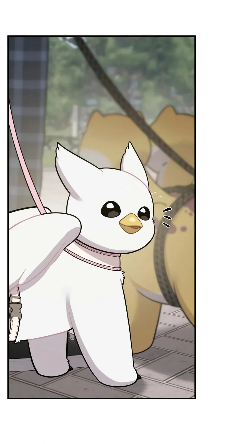 Hello, Griffin the Squinty-Eyed! Chapter 7 page 32 - 