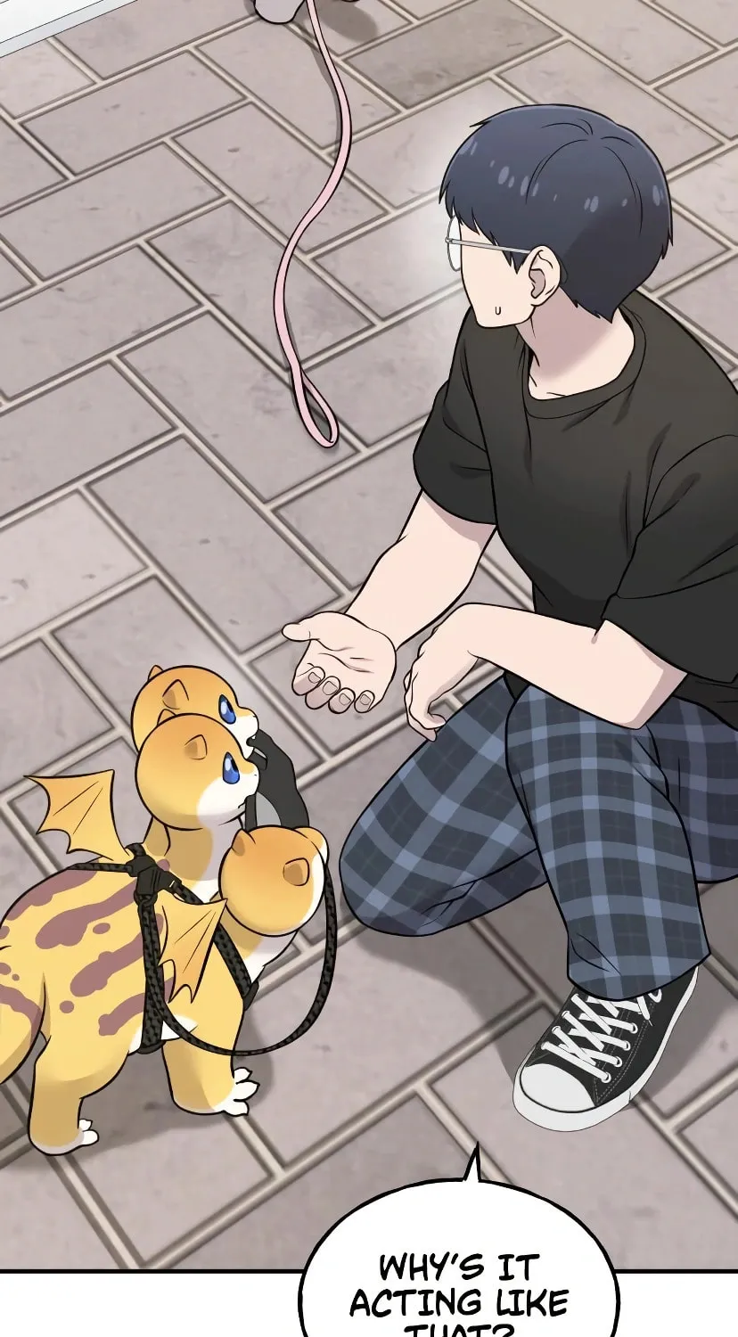 Hello, Griffin the Squinty-Eyed! Chapter 7 page 53 - 