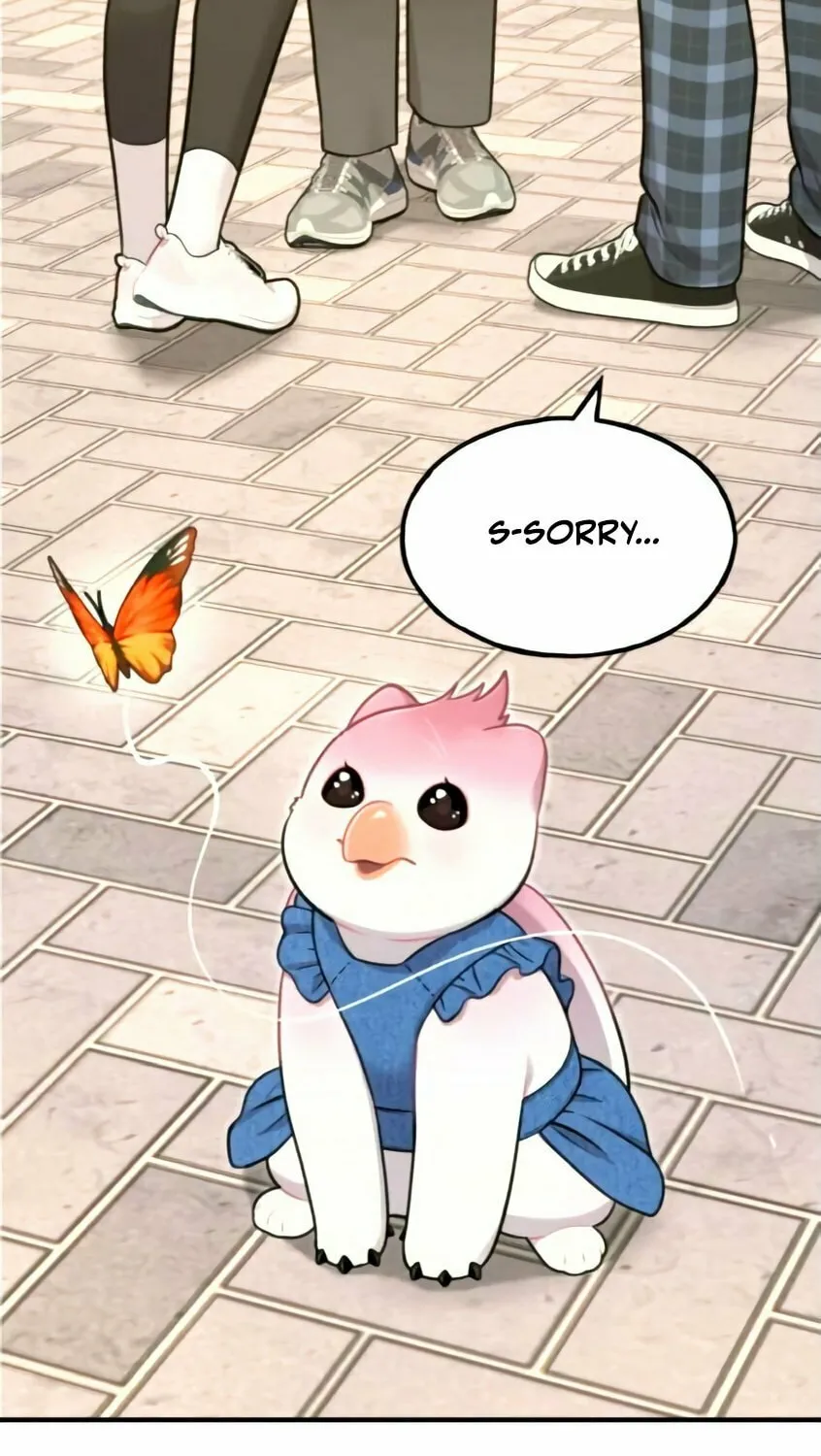 Hello, Griffin the Squinty-Eyed! Chapter 9 page 65 - 