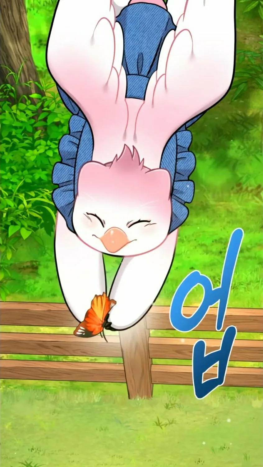 Hello, Griffin the Squinty-Eyed! Chapter 9 page 82 - 