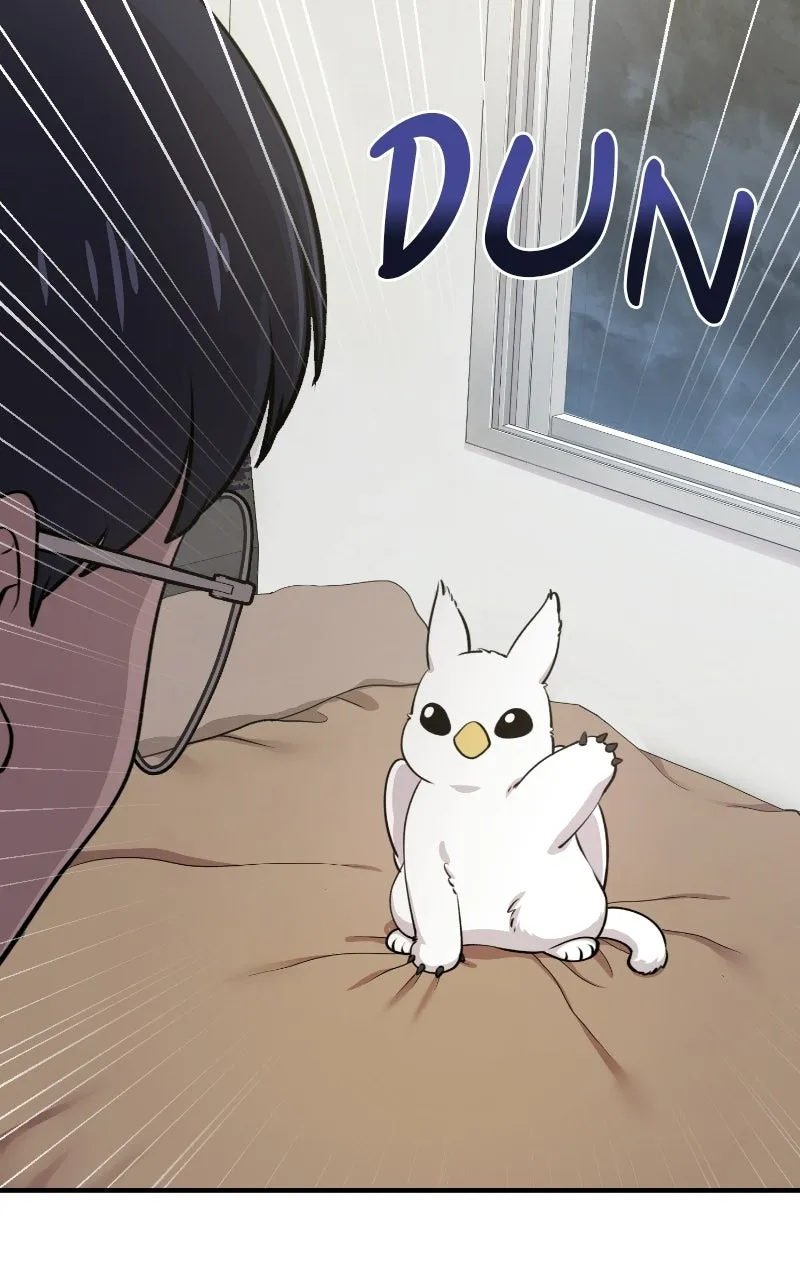 Hello, Little Griffin! Chapter 1 page 15 - 