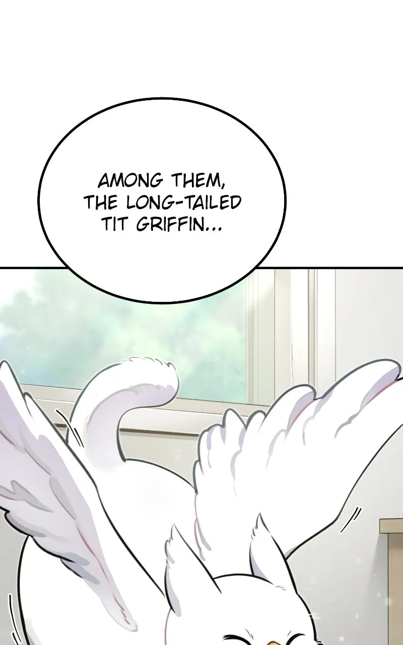 Hello, Little Griffin! Chapter 1 page 31 - 