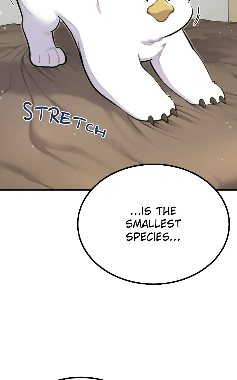 Hello, Little Griffin! Chapter 1 page 32 - 