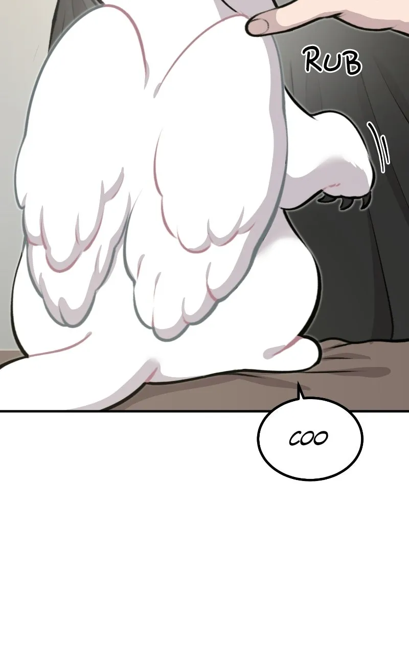 Hello, Little Griffin! Chapter 1 page 45 - 