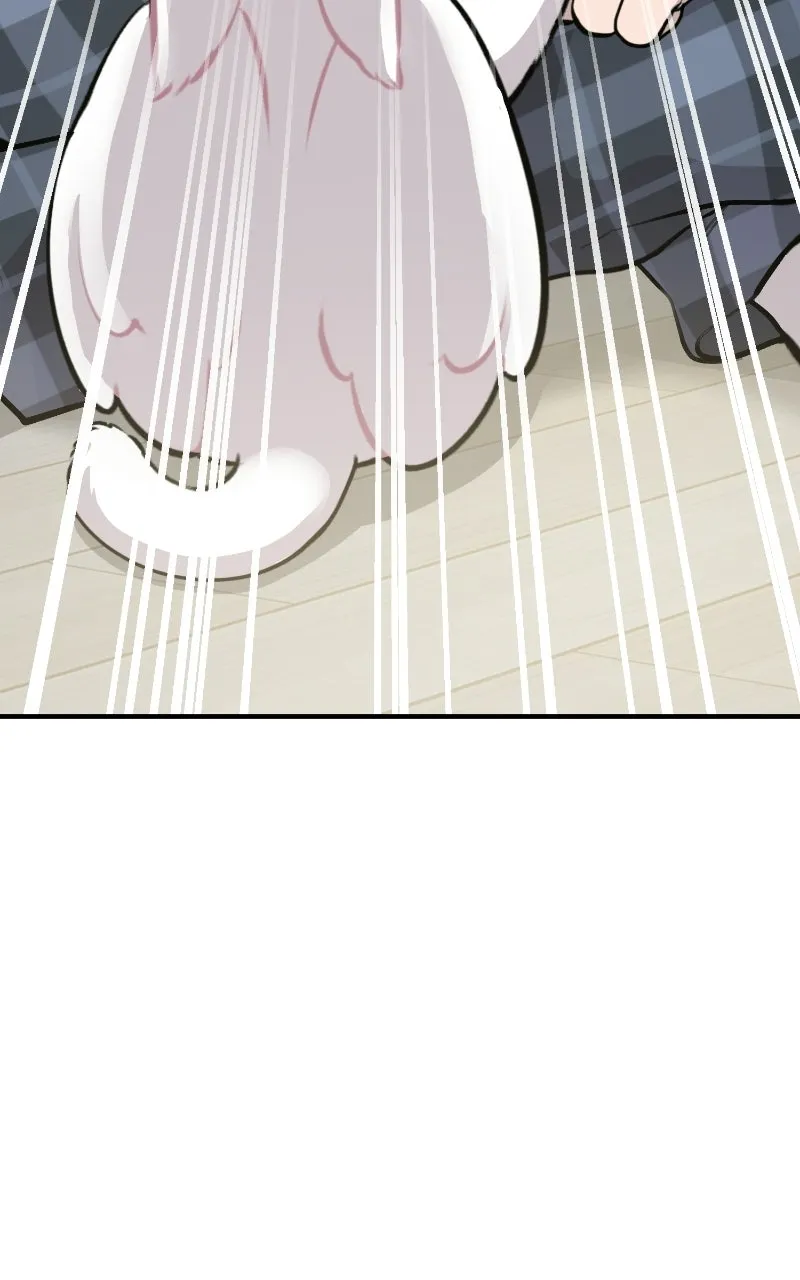 Hello, Little Griffin! Chapter 1 page 96 - 