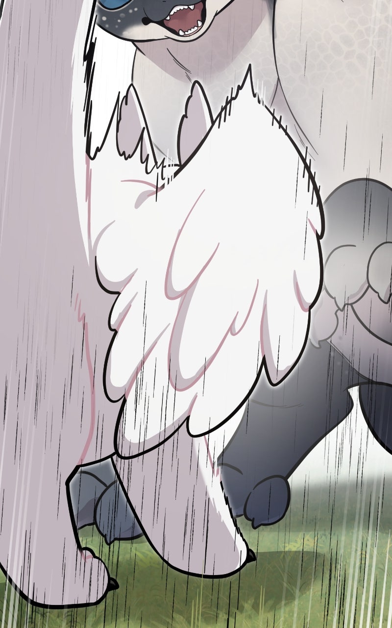 Hello, Little Griffin! Ep. 10 - Rescue page 11 - 