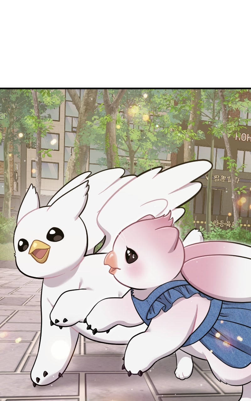Hello, Little Griffin! Ep. 10 - Rescue page 37 - 