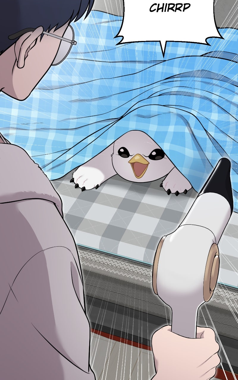 Hello, Little Griffin! Ep. 11 - Whirr page 52 - 