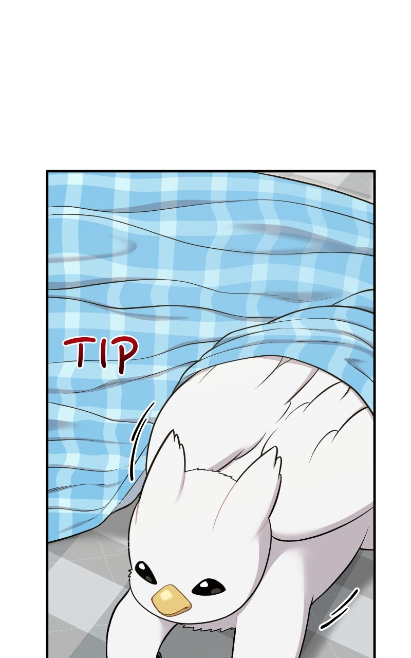 Hello, Little Griffin! Ep. 11 - Whirr page 63 - 