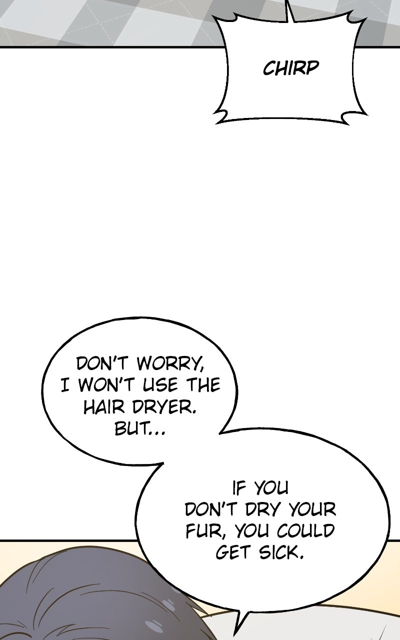 Hello, Little Griffin! Ep. 11 - Whirr page 75 - 