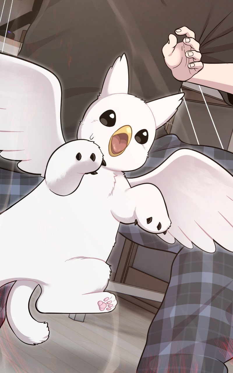 Hello, Little Griffin! Ep. 12 - It