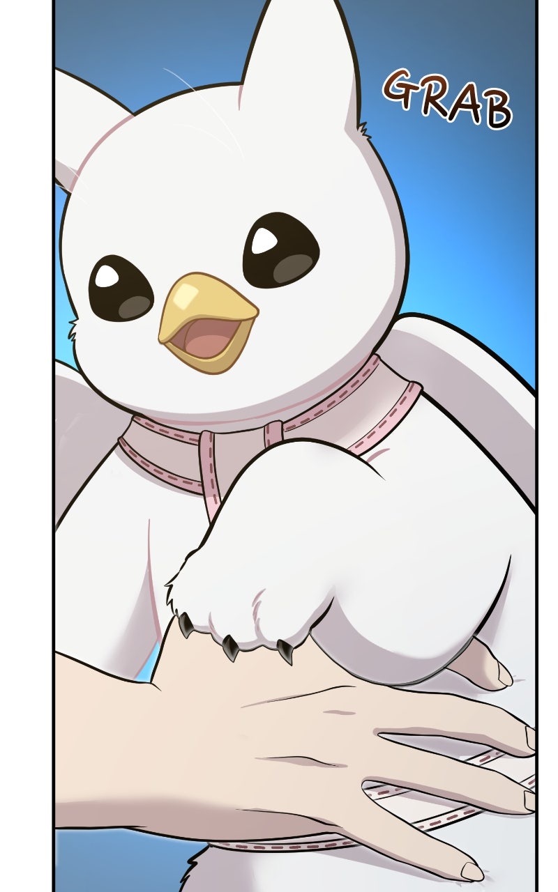 Hello, Little Griffin! Ep. 13 - Aren