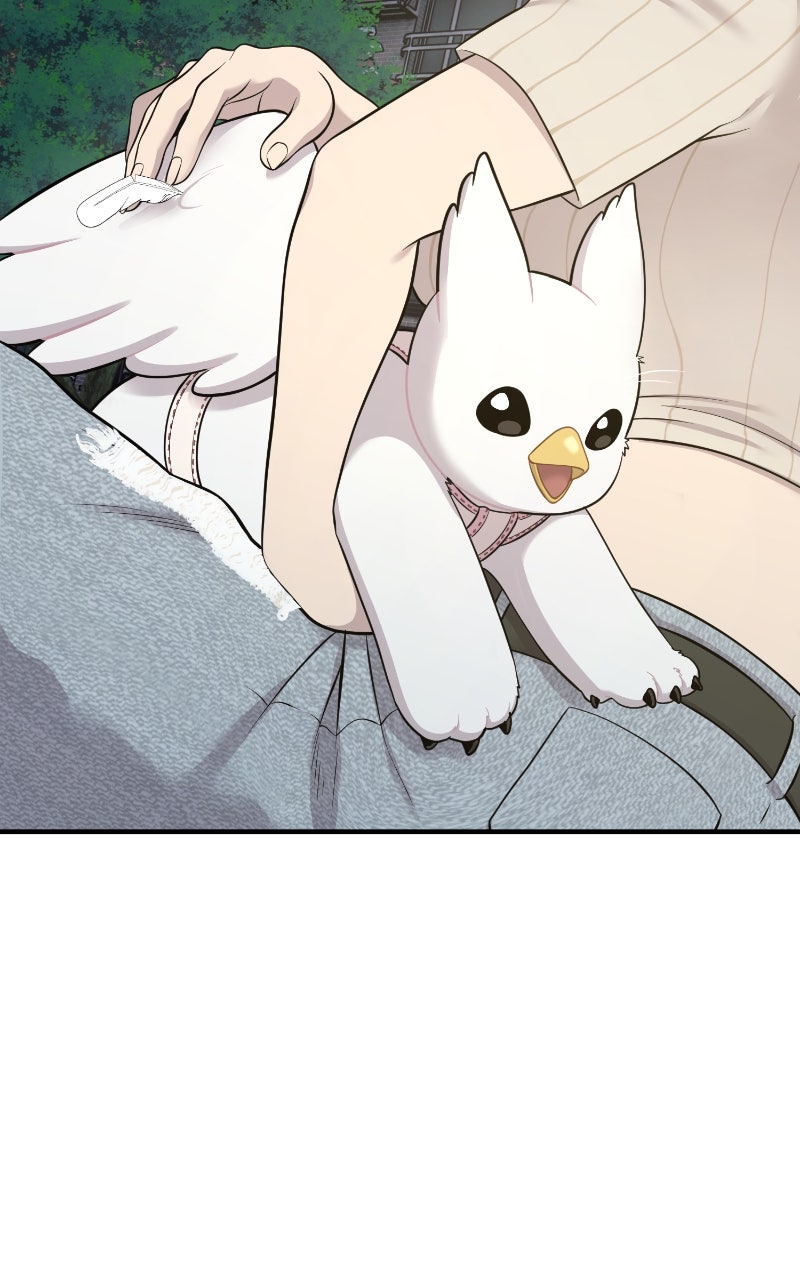 Hello, Little Griffin! Ep. 13 - Aren