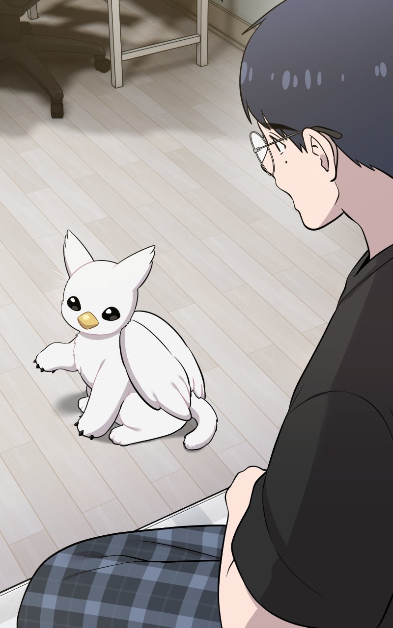 Hello, Little Griffin! Ep. 13 - Aren