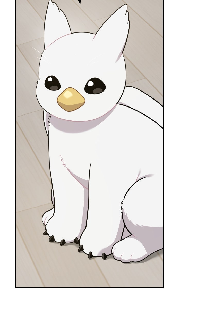 Hello, Little Griffin! Ep. 13 - Aren