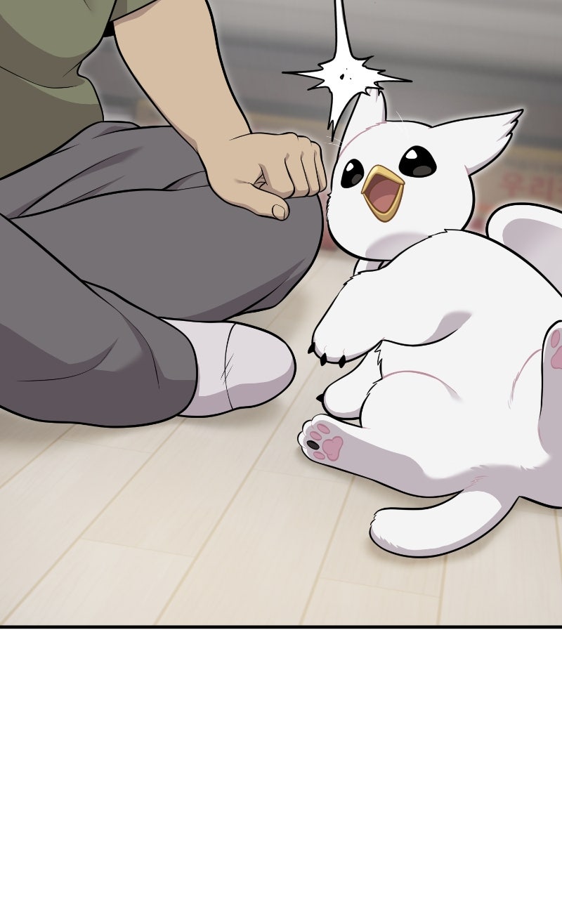Hello, Little Griffin! Ep. 16 - Disgusting Bug page 40 - 