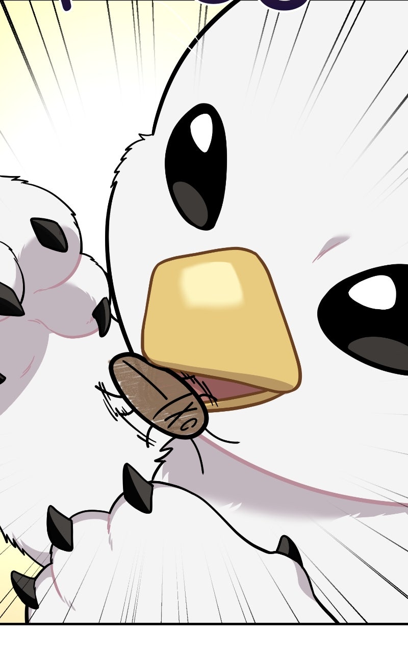 Hello, Little Griffin! Ep. 16 - Disgusting Bug page 69 - 