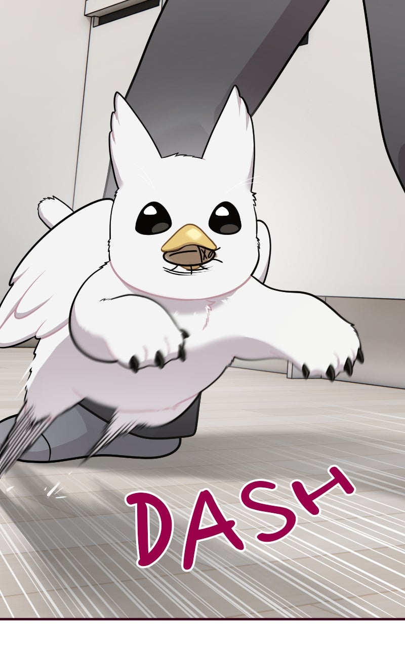 Hello, Little Griffin! Ep. 16 - Disgusting Bug page 74 - 