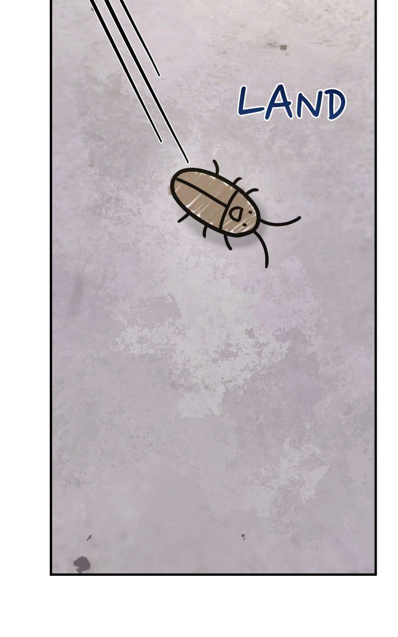 Hello, Little Griffin! Ep. 16 - Disgusting Bug page 91 - 